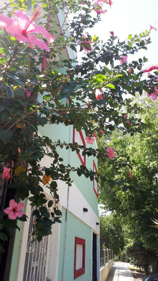 Departamento Encantador Monoambiente Domaine Laborde I 门多萨 外观 照片